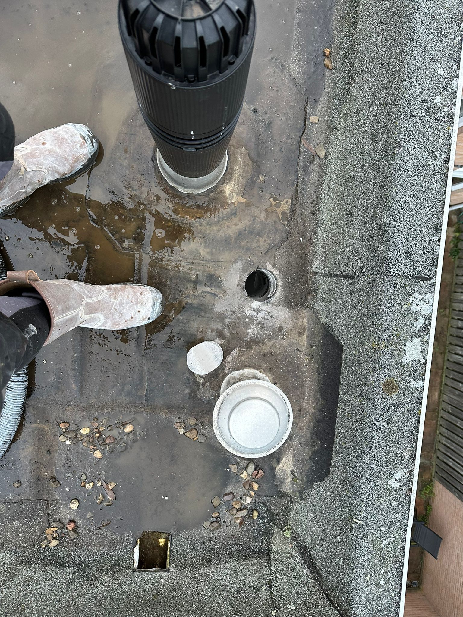 Muisdichte ventilatieroosters voor de kruipruimte: lucht doorlaten zonder open toegang